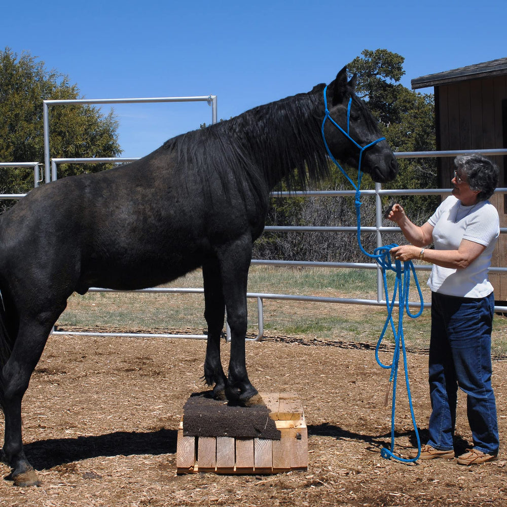 Dunzy halters next to a ruler size comparison showing adjustable fit and quick sizing benefit