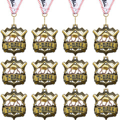 Ecation front view of medal and ribbons showing attractive presentation benefit