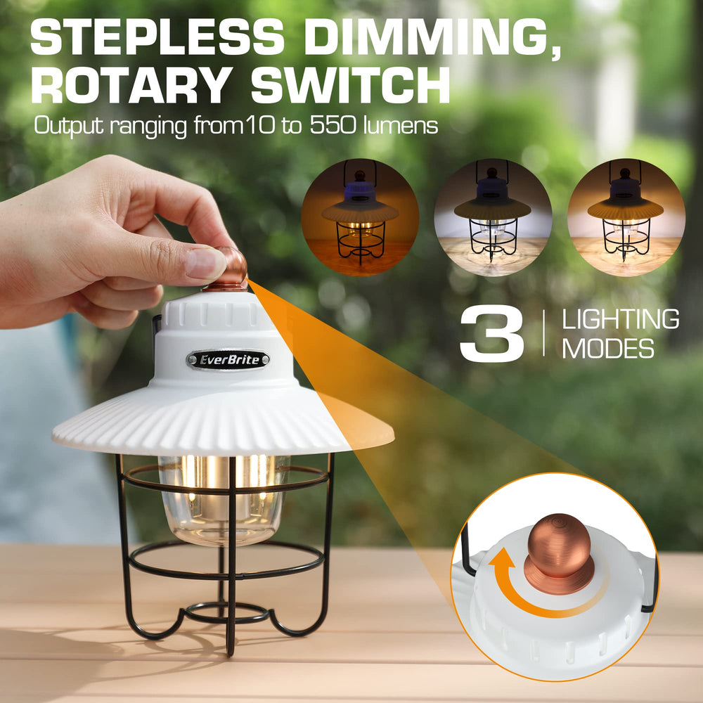 EverBrite filament light closeup highlighting warm tone and adjustable ambiance control