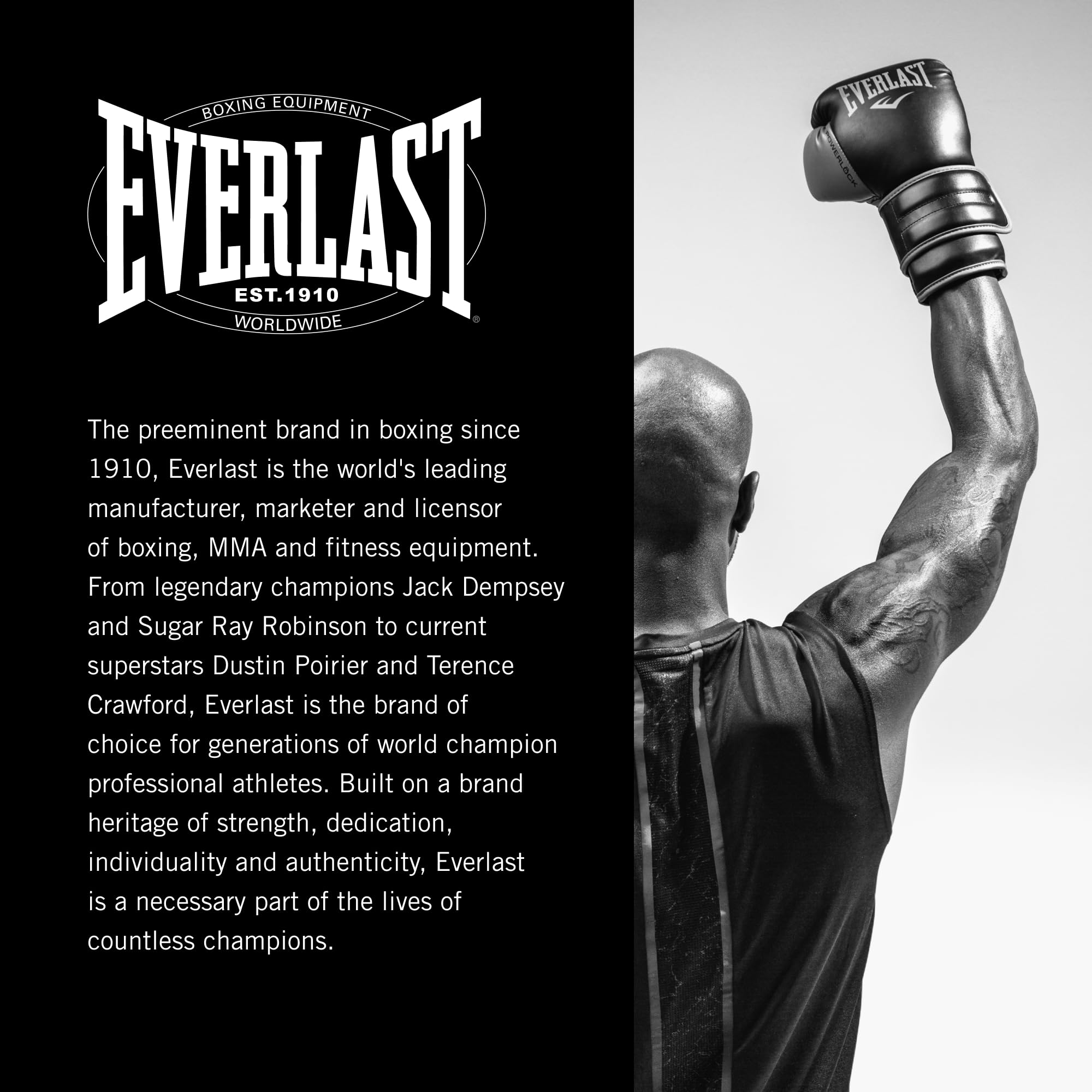 Everlast swivel mounted on speed bag platform demonstrating stable professional performance