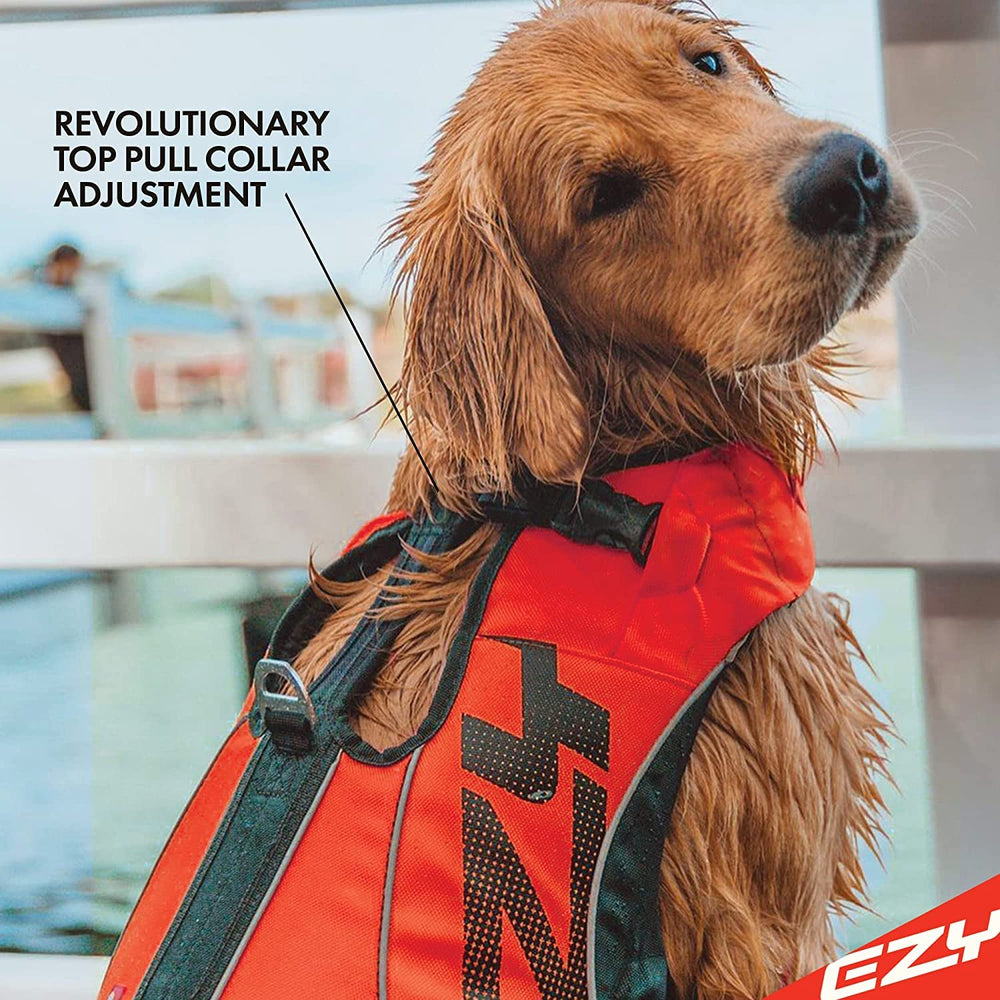 EzyDog side profile on dog demonstrating streamlined swimming fit
