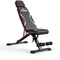FLYBIRD front profile bench showing robust build and stable base