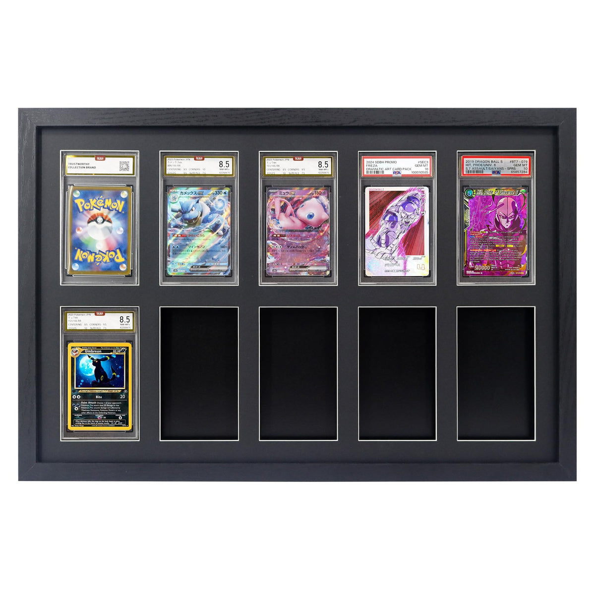 FramePro front view showing ten PSA slab slots and elegant black frame for display benefit