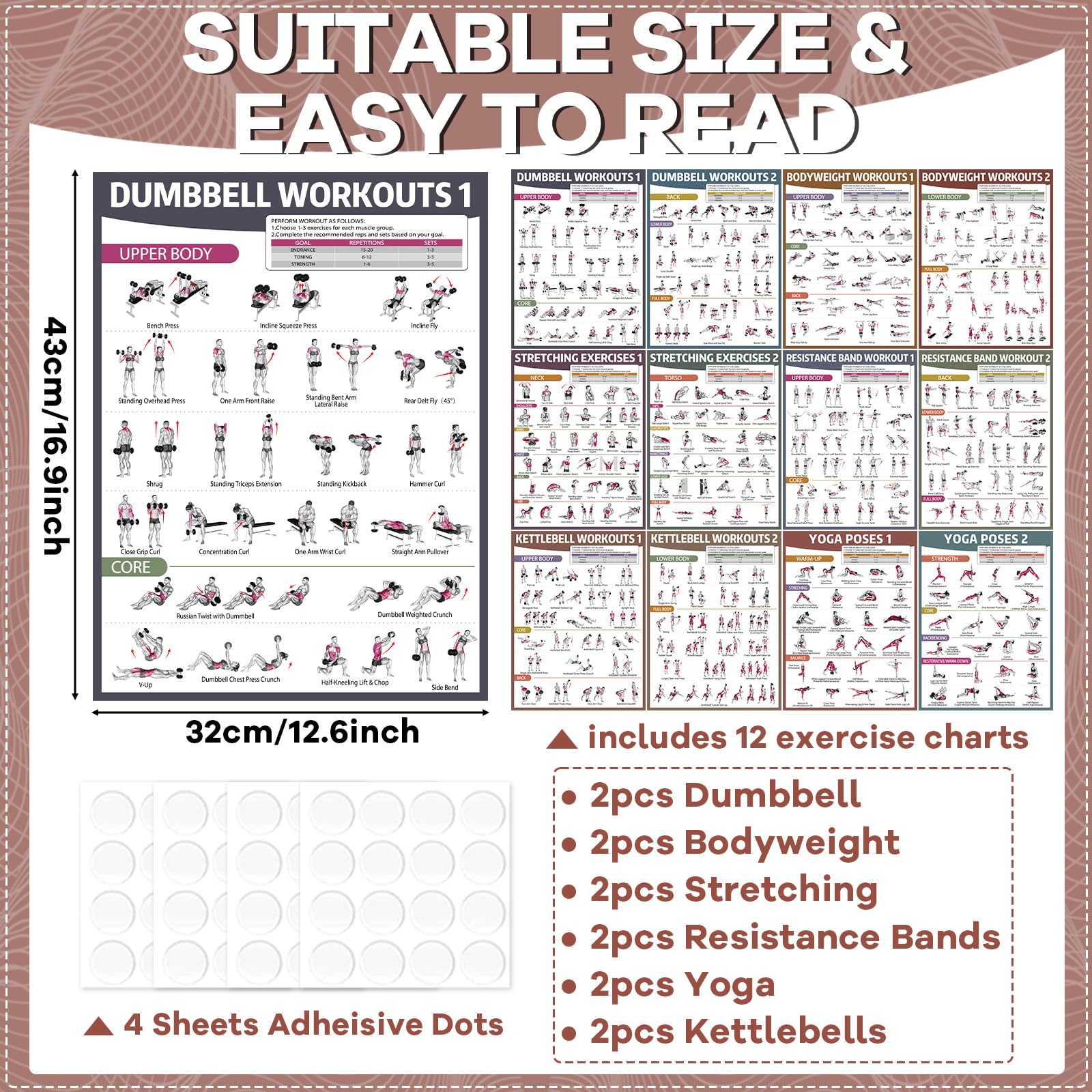 gisgfim close-up of dumbbell poster illustrations showing clear movement guidance