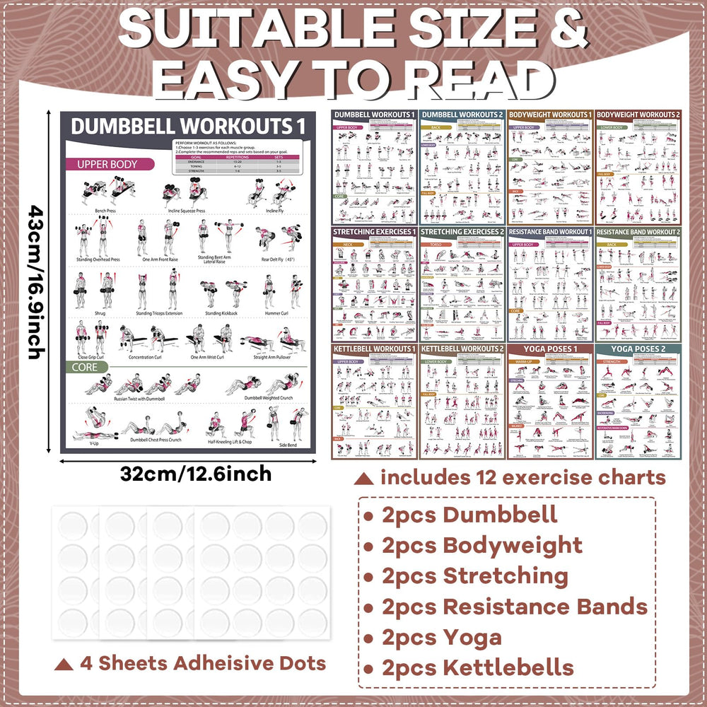gisgfim close-up of dumbbell poster illustrations showing clear movement guidance