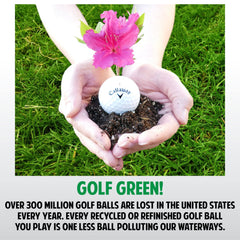 GolfBall Nut open mesh bag filled with balls for easy transport and access