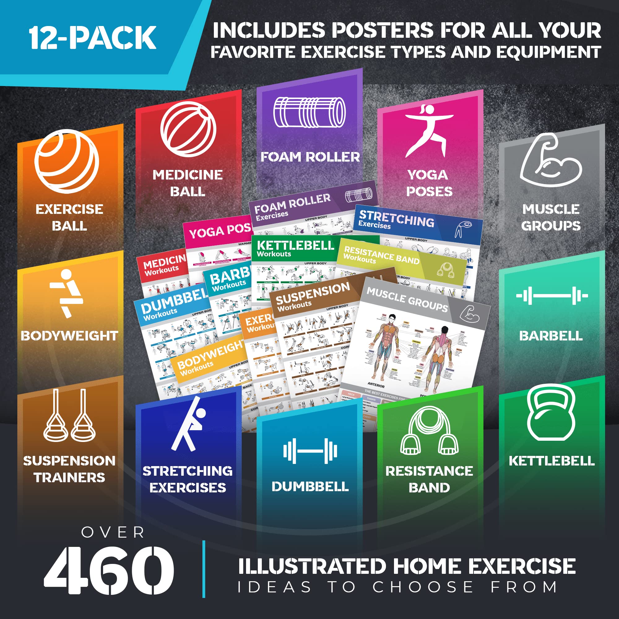 GRAND BASICS dumbbell poster detail showing clear exercise illustrations