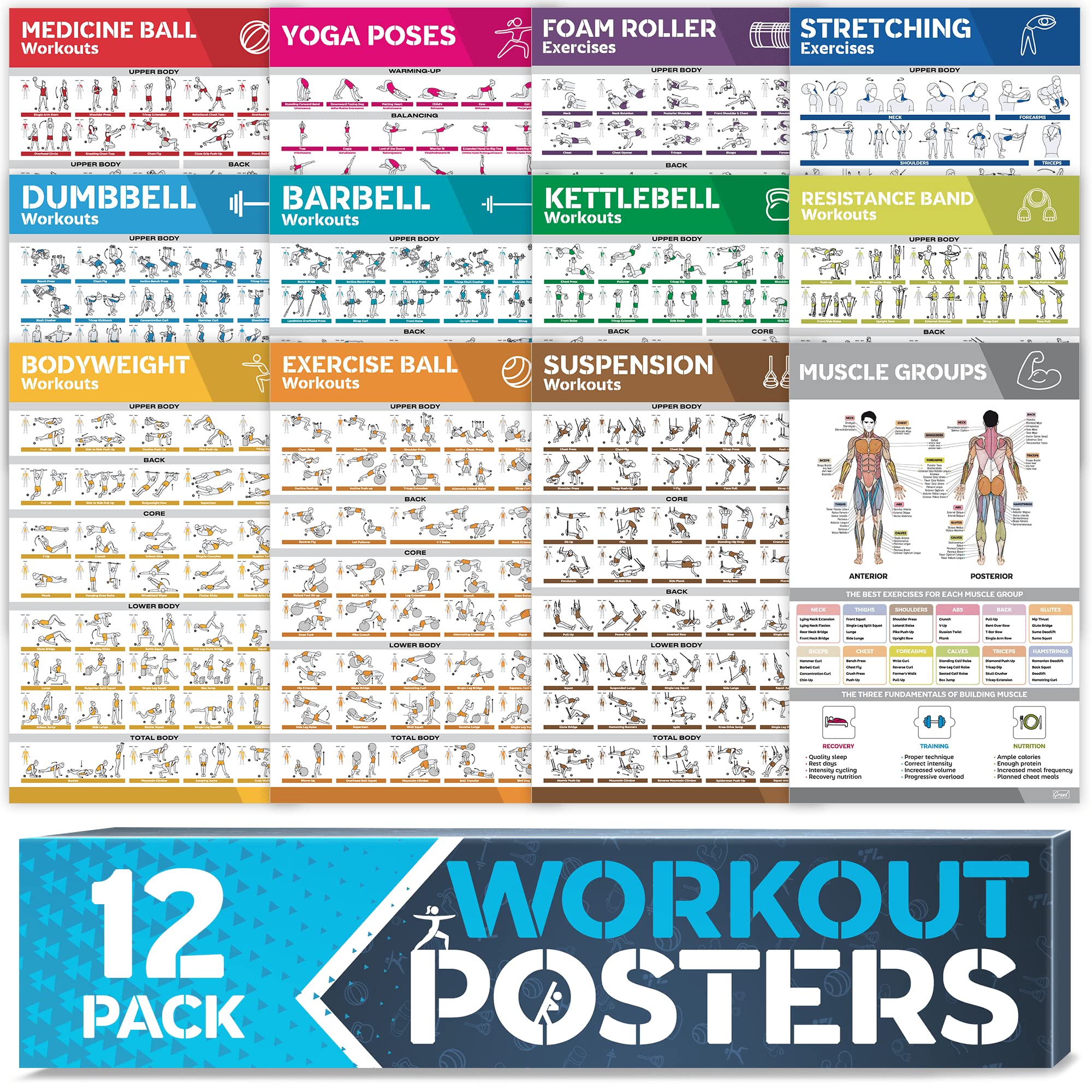 GRAND BASICS front packaging showing full 12-pack, quick reference