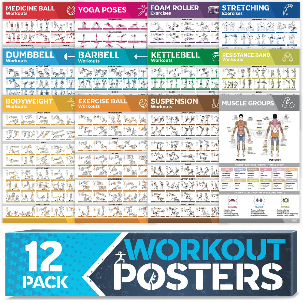 GRAND BASICS front packaging showing full 12-pack, quick reference