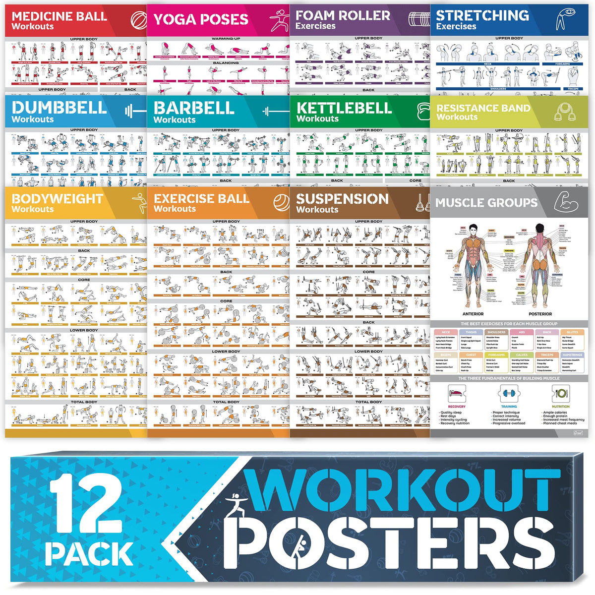 GRAND BASICS front packaging showing full 12-pack, quick reference