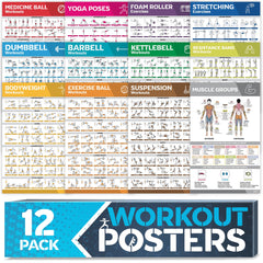 GRAND BASICS front packaging showing full 12-pack, quick reference