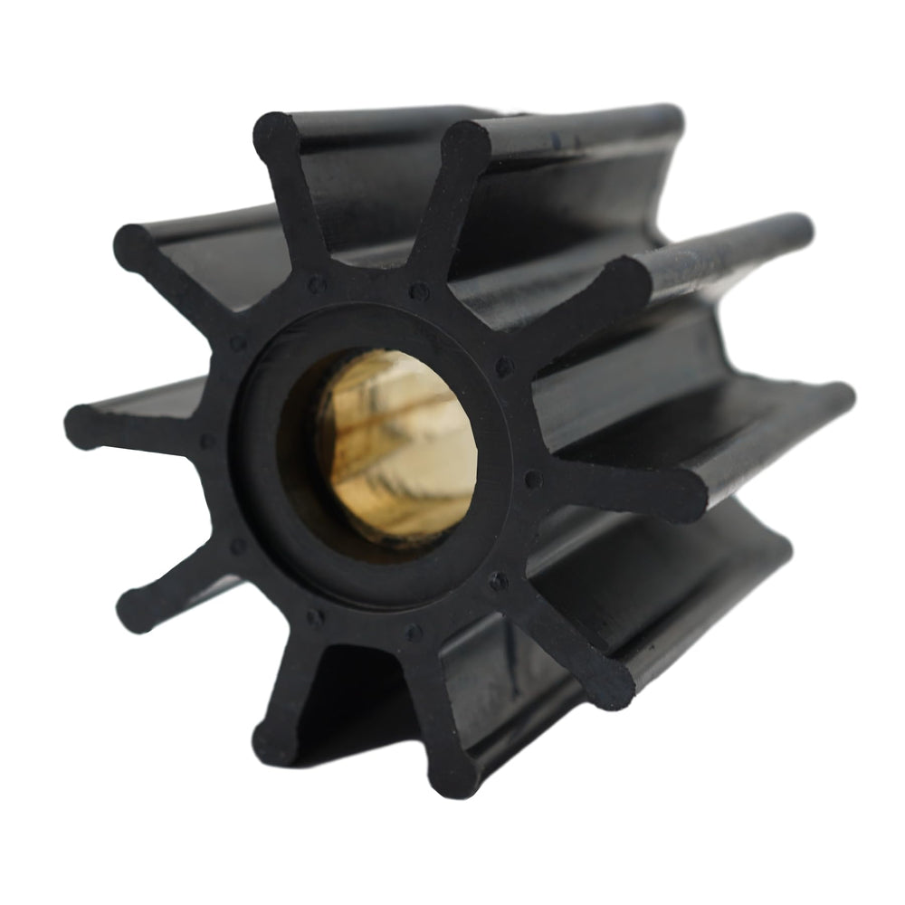 Heurofosh kit seals and o-rings arranged to show complete replacement convenience