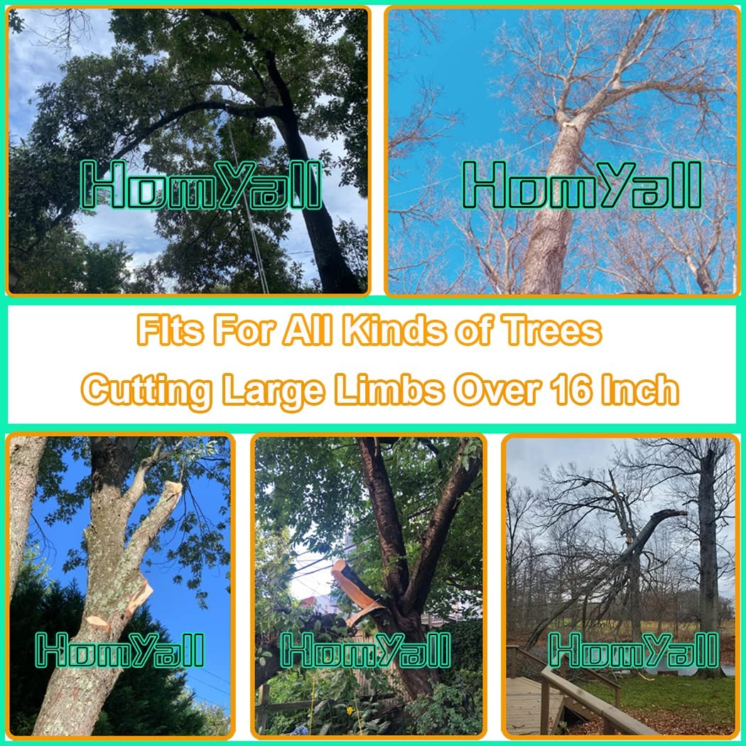 Homyall chain installed over a high branch showing safe ground-based pruning