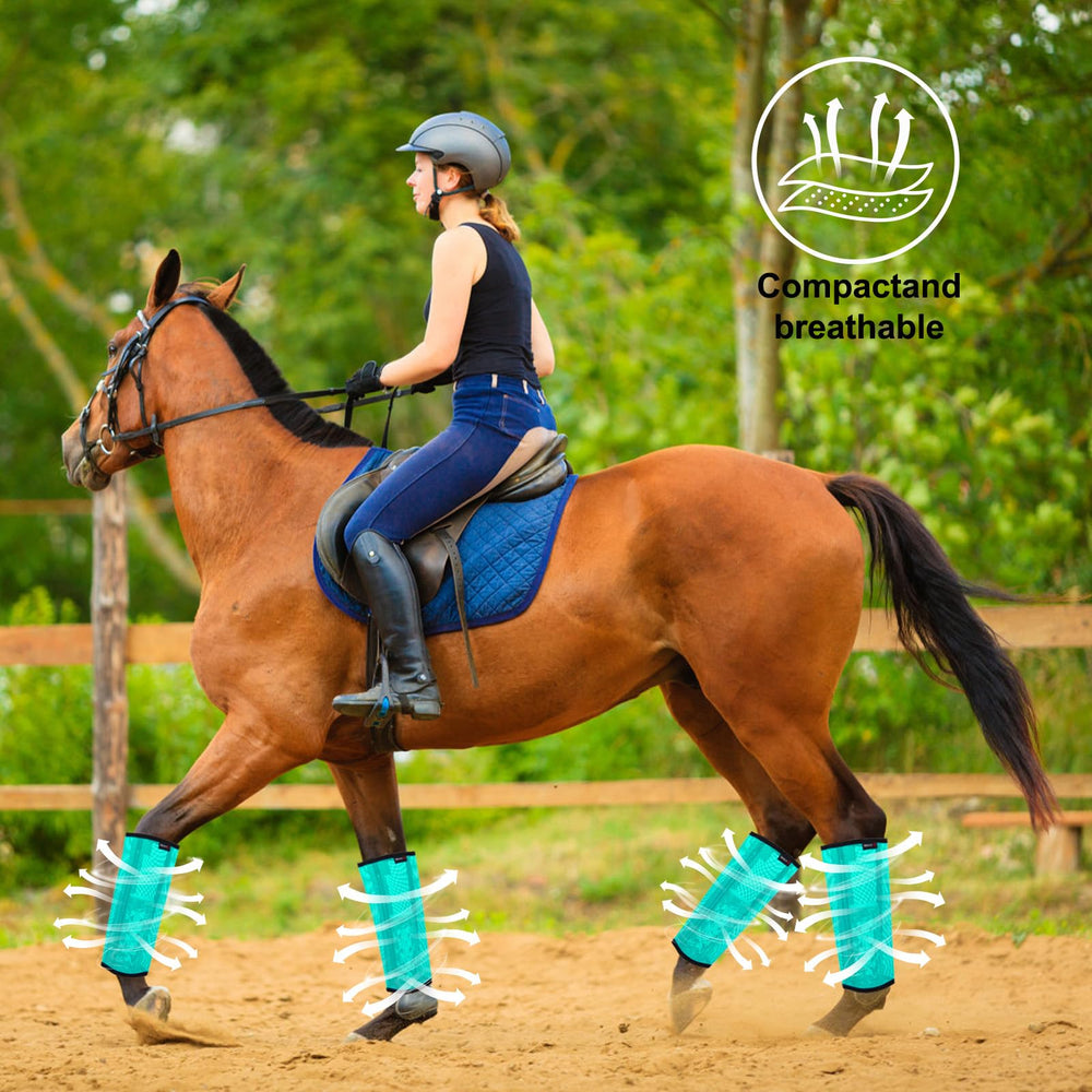 HUAME rear leg boot on trotting horse preventing insect bites and irritation