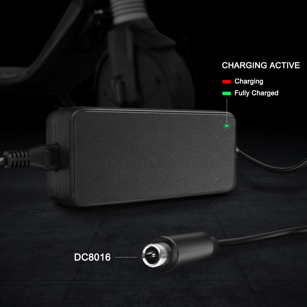 JUYOON charger connected to electric scooter for safe and consistent charging
