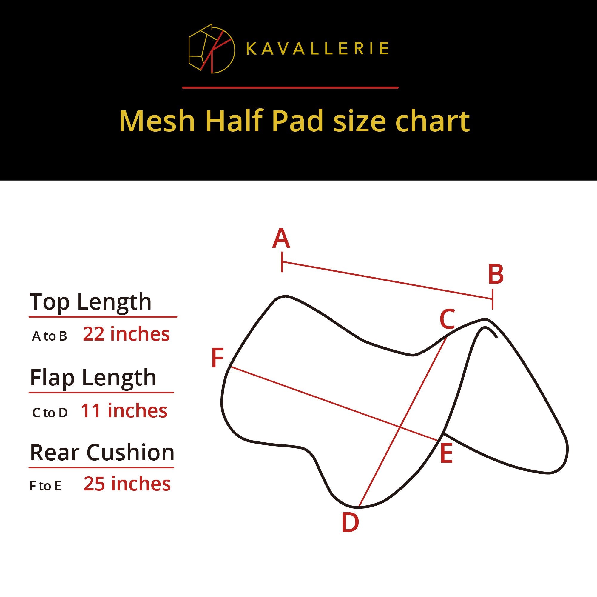 Kavallerie in use under English saddle for added support and comfort