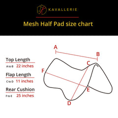 Kavallerie in use under English saddle for added support and comfort