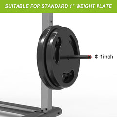 Kipika loaded with weight plates demonstrating 300 lb capacity and space savings