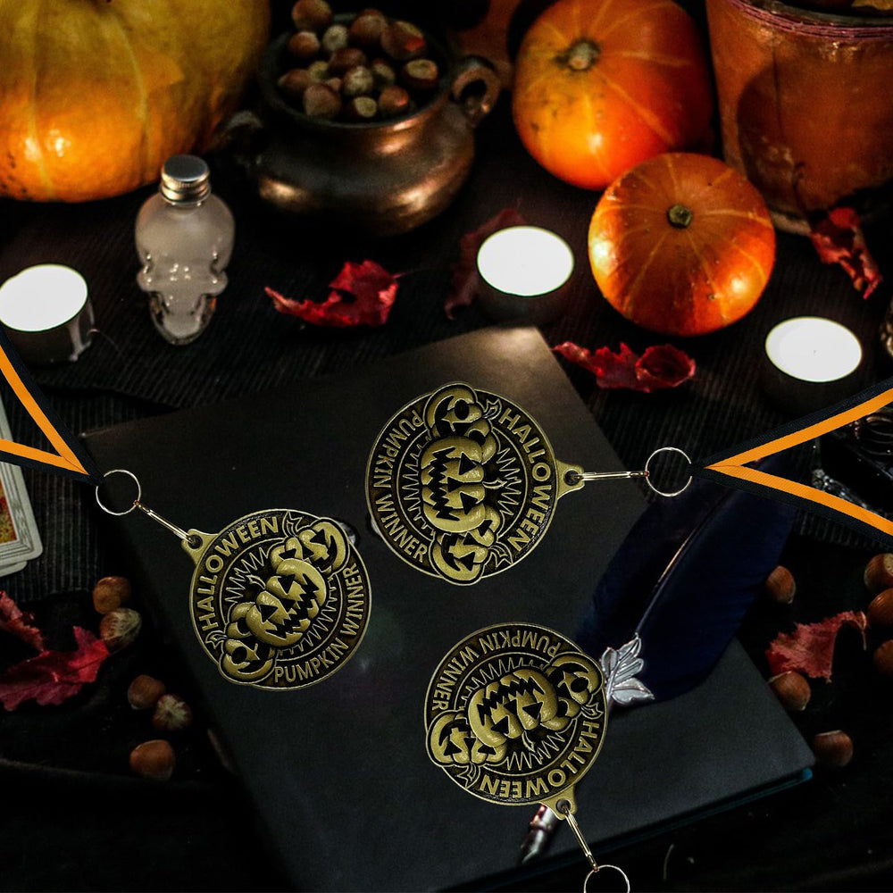 LAIAMER medal worn on costume during party showing fun award recognition