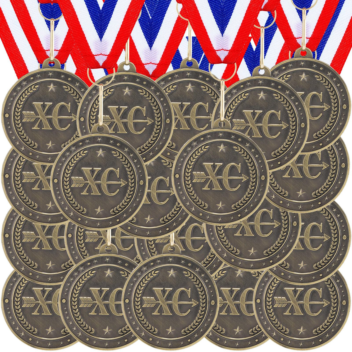 Landical front view bronze medal showing clear XC design and award appeal