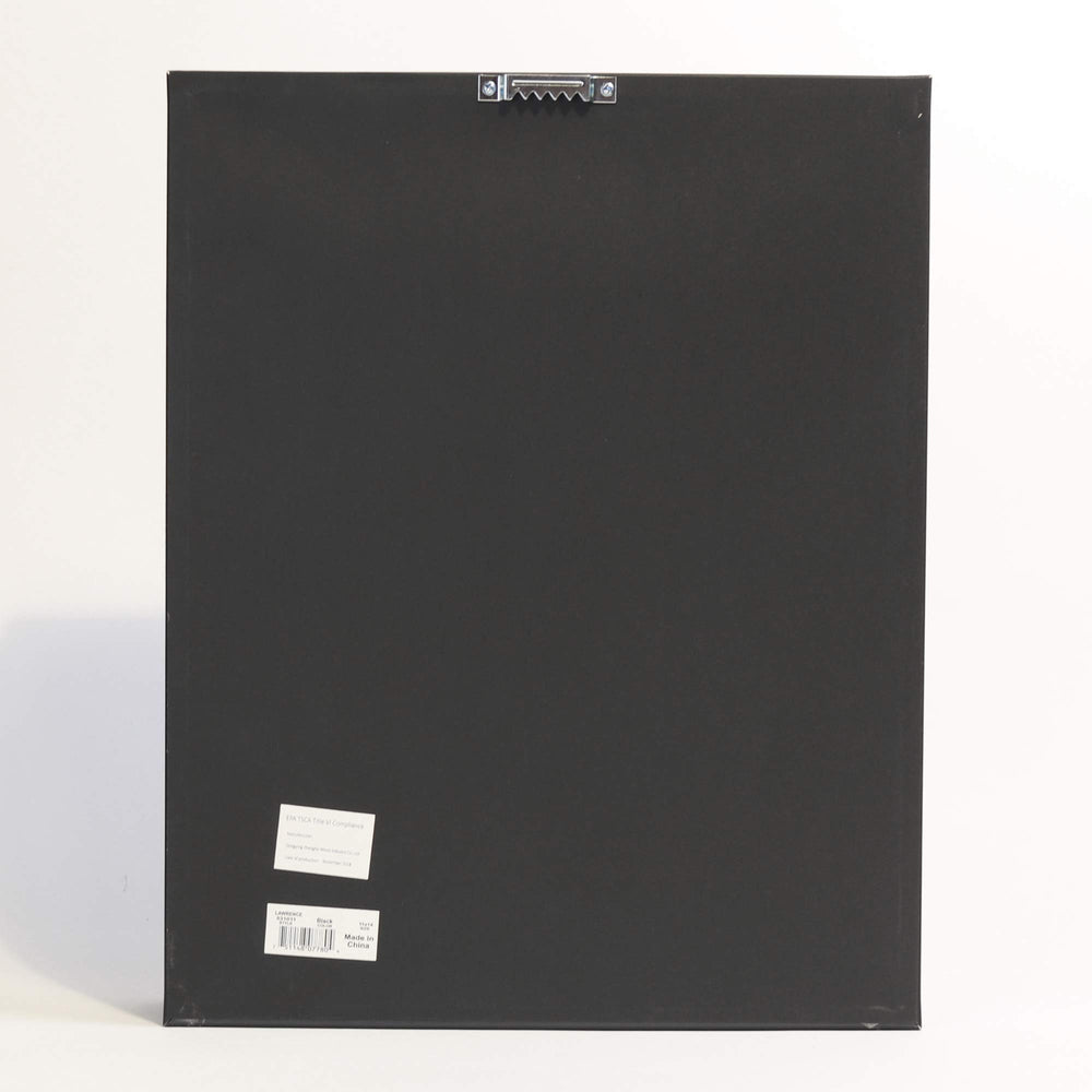 Lawrence Frames wall-mounted in a golf room showing neat presentation and space-saving