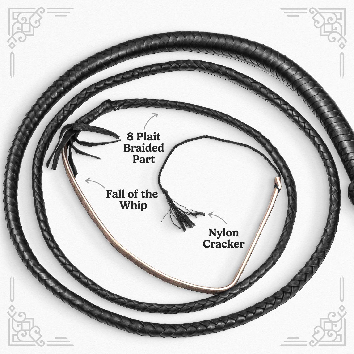 LB'S WHIP laid beside a ruler showing the 8 ft length for accurate scale benefit