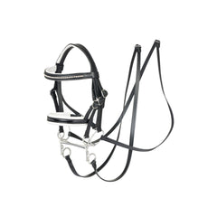 LeMieux double bridle front view showing full leather set and two reins for realistic play