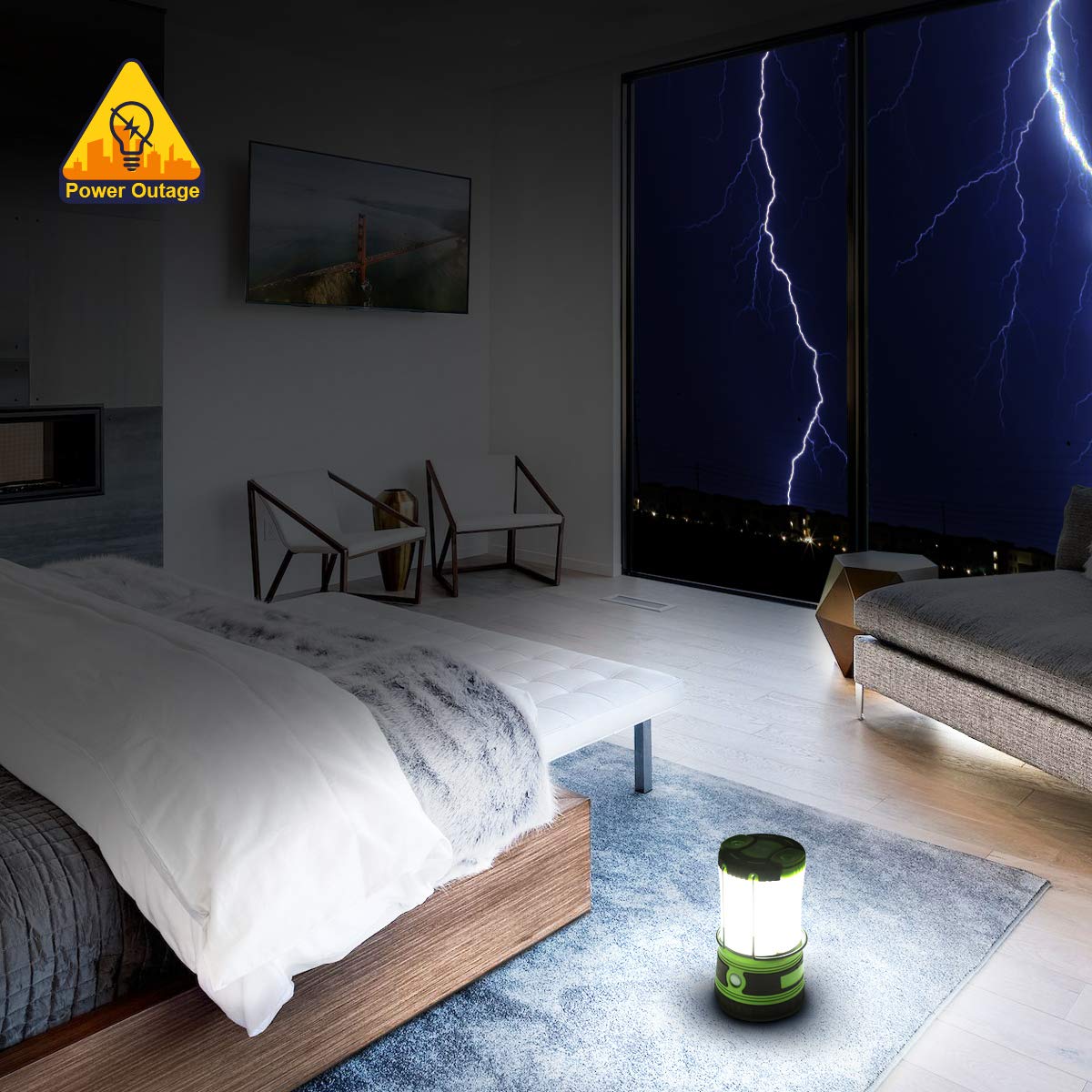 Lepro accessories included layout with batteries and cable, clarifies package contents