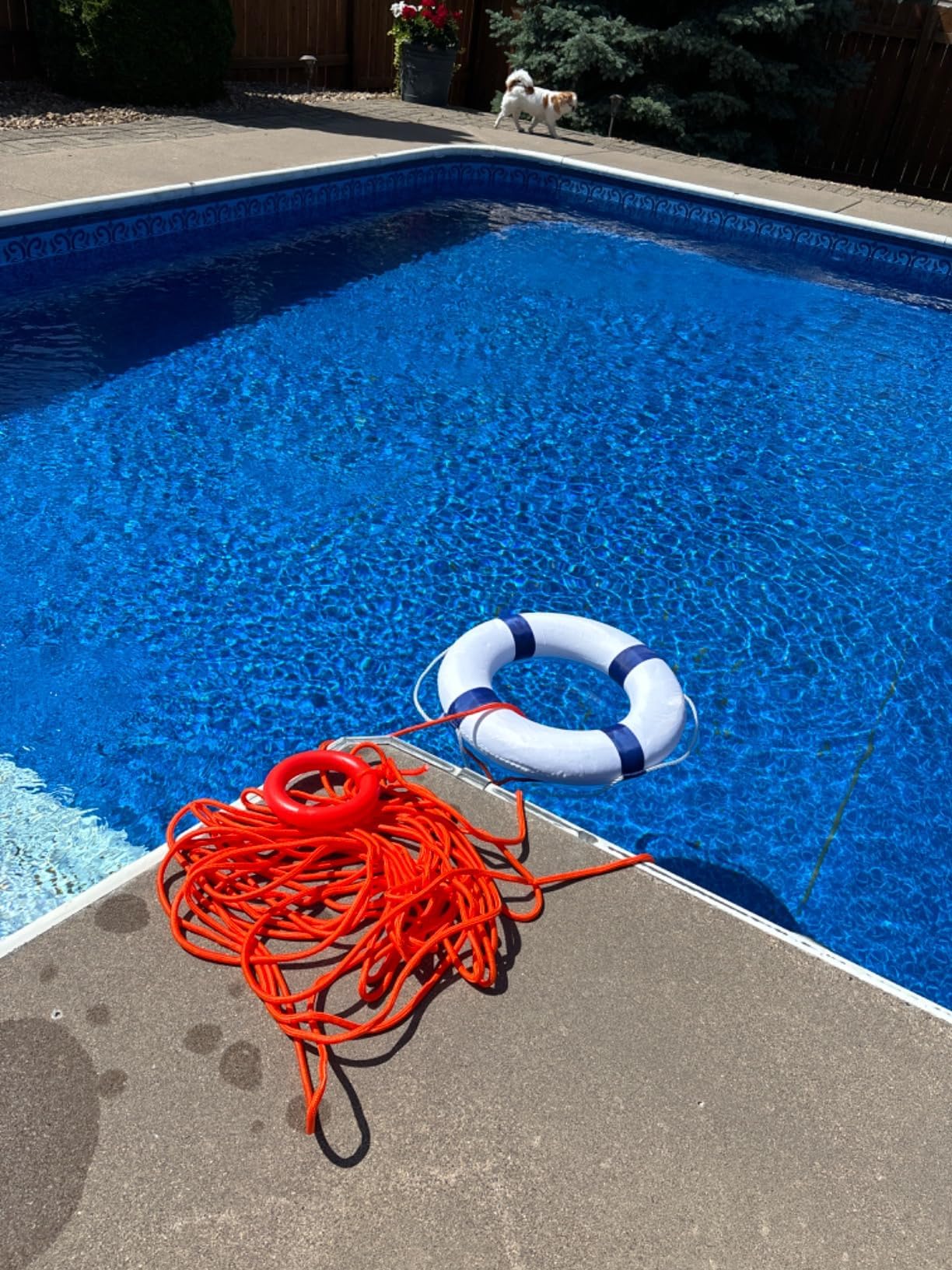 MAKUQI life ring thrown toward swimmer demonstrating rescue reach and buoyancy