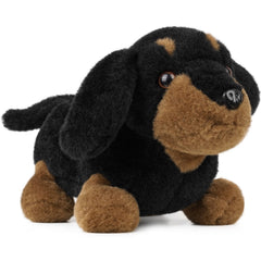 mytag dachshund front view showing plush protectiveness and visual charm