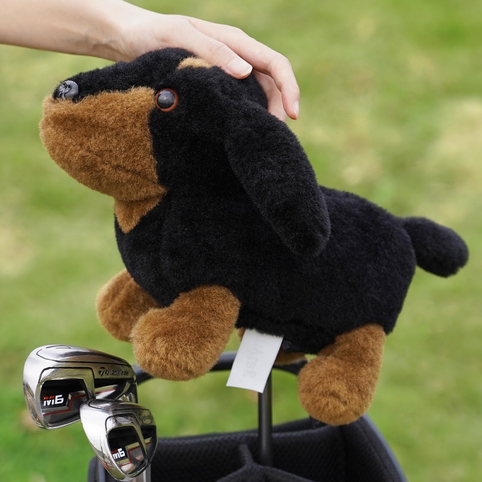 mytag dachshund on golf cart adding personality and easy identification