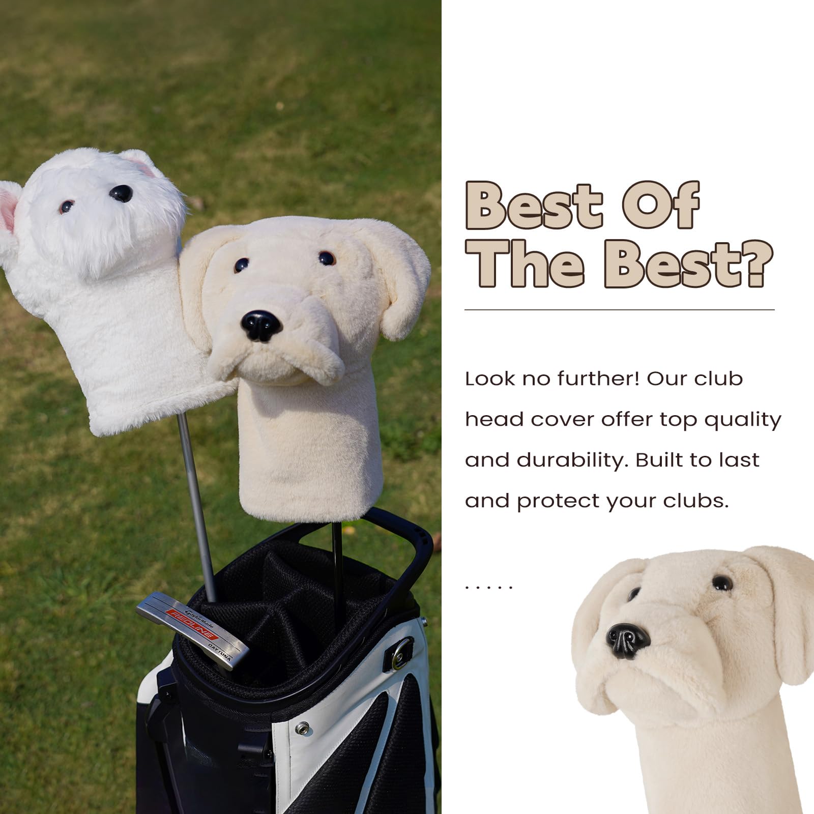 mytag Labrador close-up face showing stitched features and durable detail