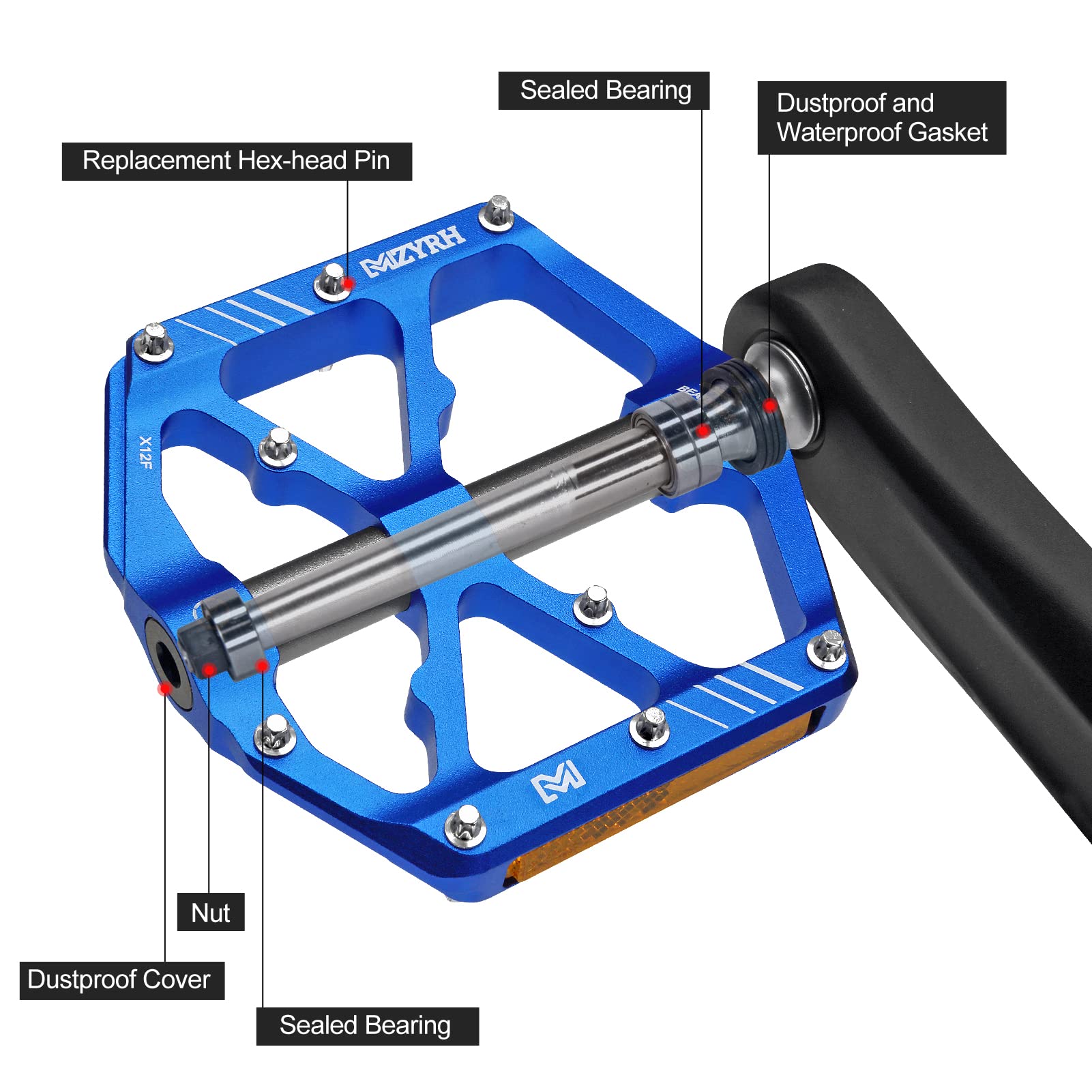 MZYRH pedal next to coin illustrating compact size and lightweight benefit