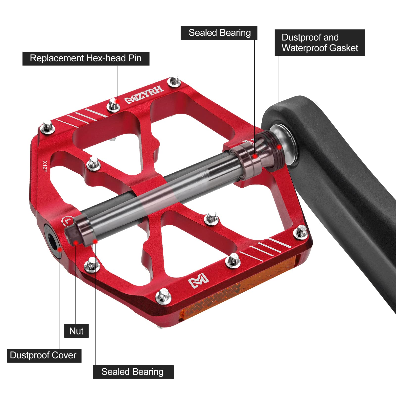 MZYRH chrome-moly spindle detail highlighting strength and durability