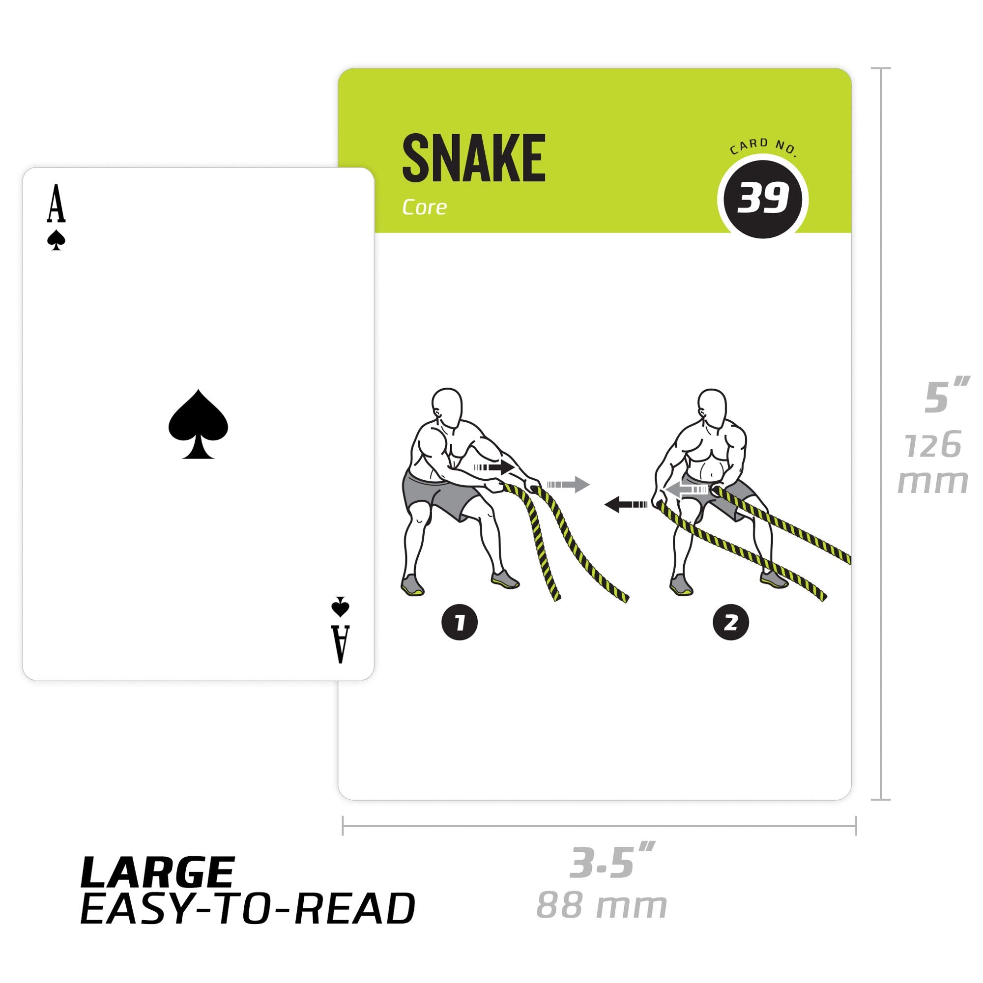 NewMe Fitness storage box with all cards organized, portability and neat storage benefit