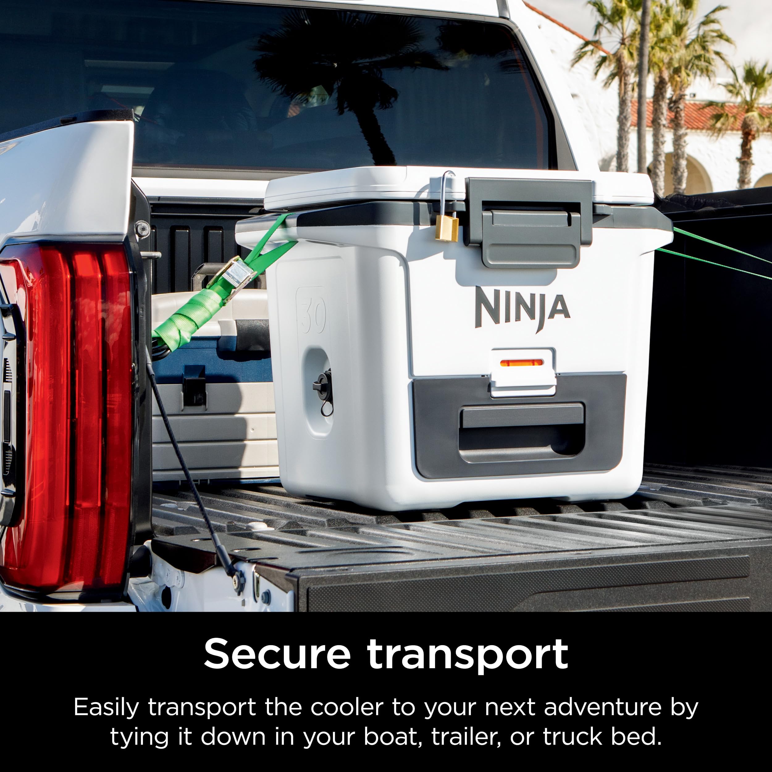 Ninja FrostVault beside stacked cans showing 30-quart capacity and scale benefit