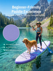 niphean adjustable paddle and hand pump displayed for quick setup