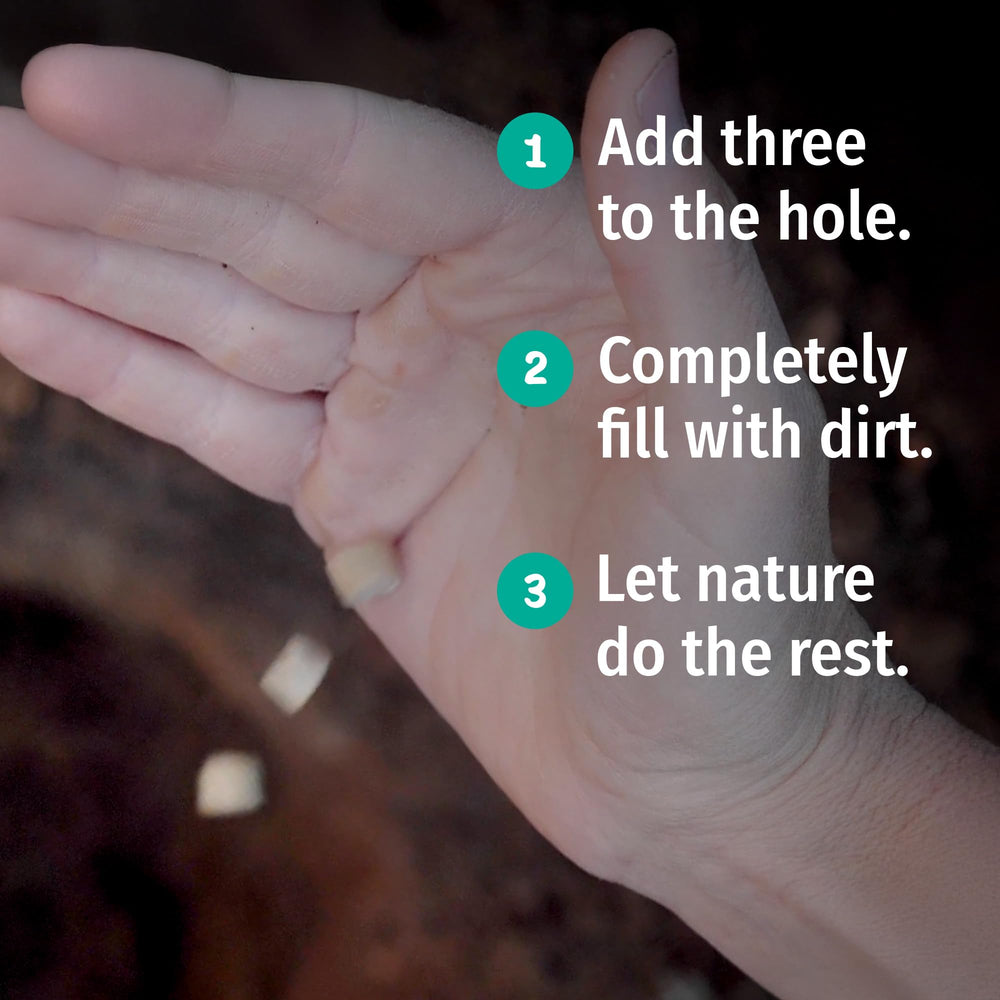PACT open kit with tabs as refill demonstrating convenient restocking