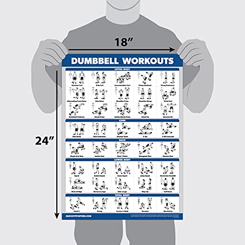 Palace Learning dumbbell poster close-up showing technique cues and safer lifting