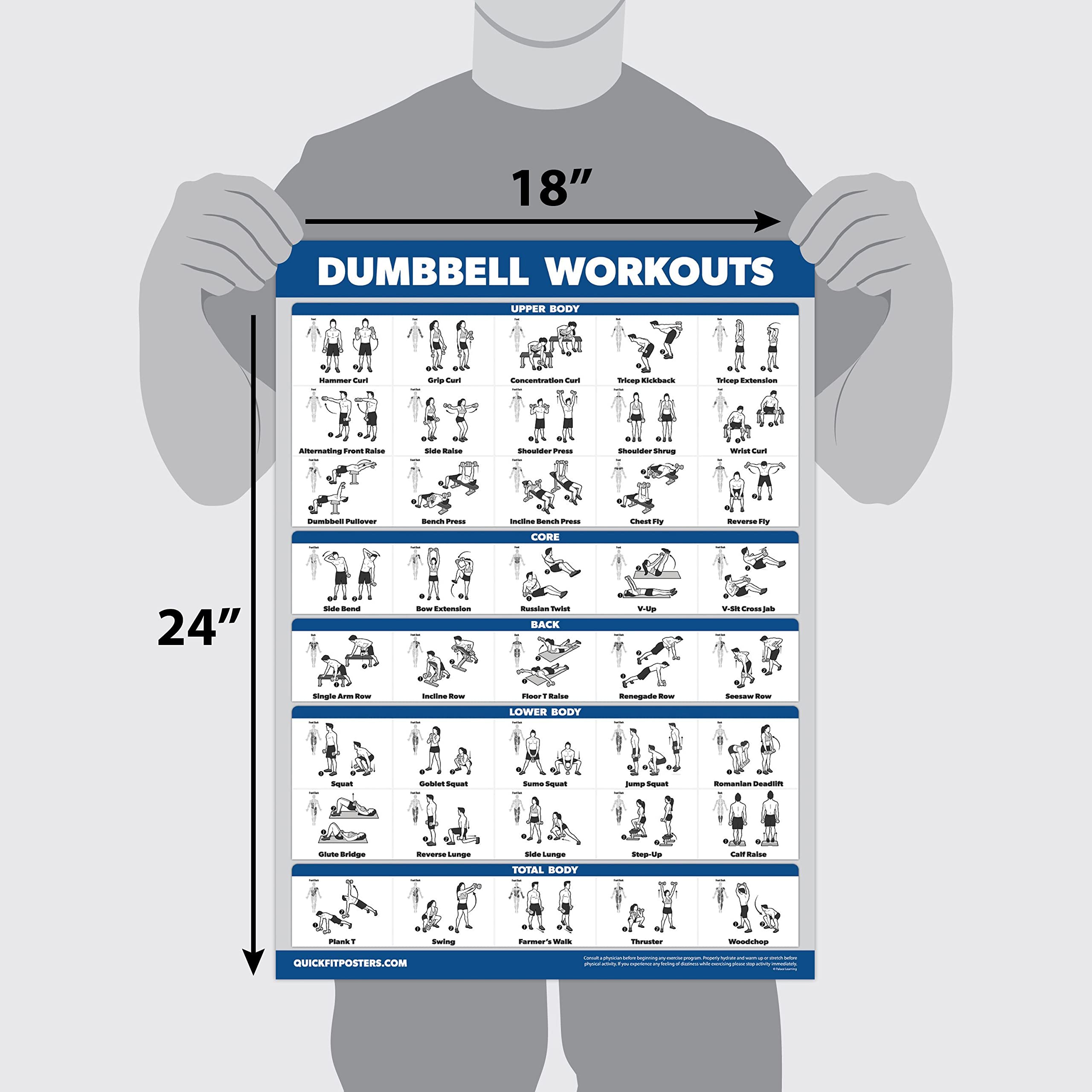 Palace Learning close-up of dumbbell poster illustrating grips and exercise benefit clarity