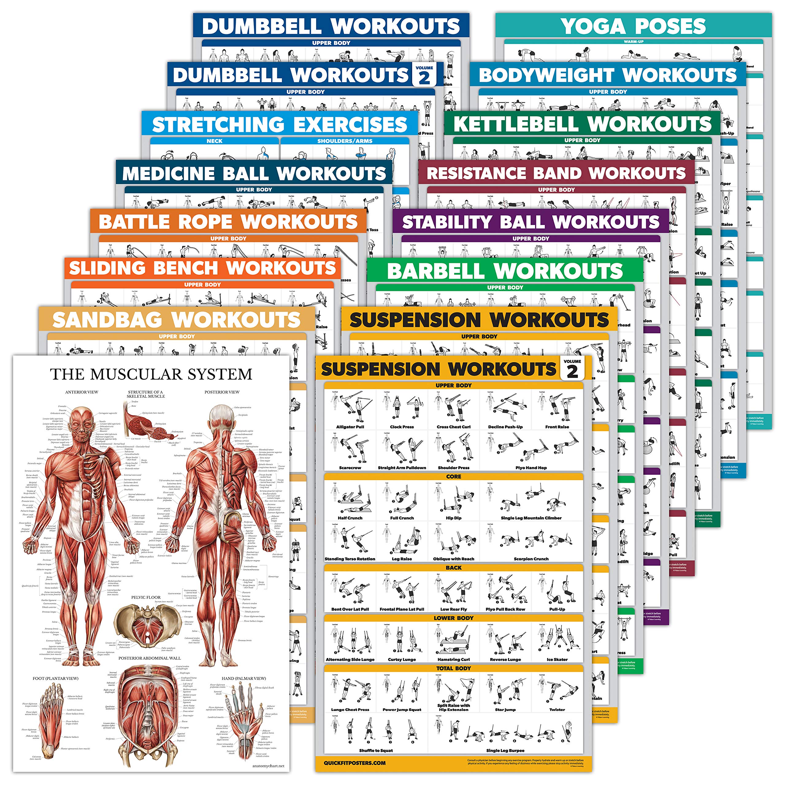 Palace Learning front view of 16-pack posters showing variety and easy reference