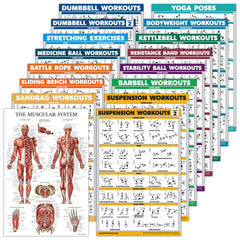 Palace Learning front view of 16-pack posters showing variety and easy reference