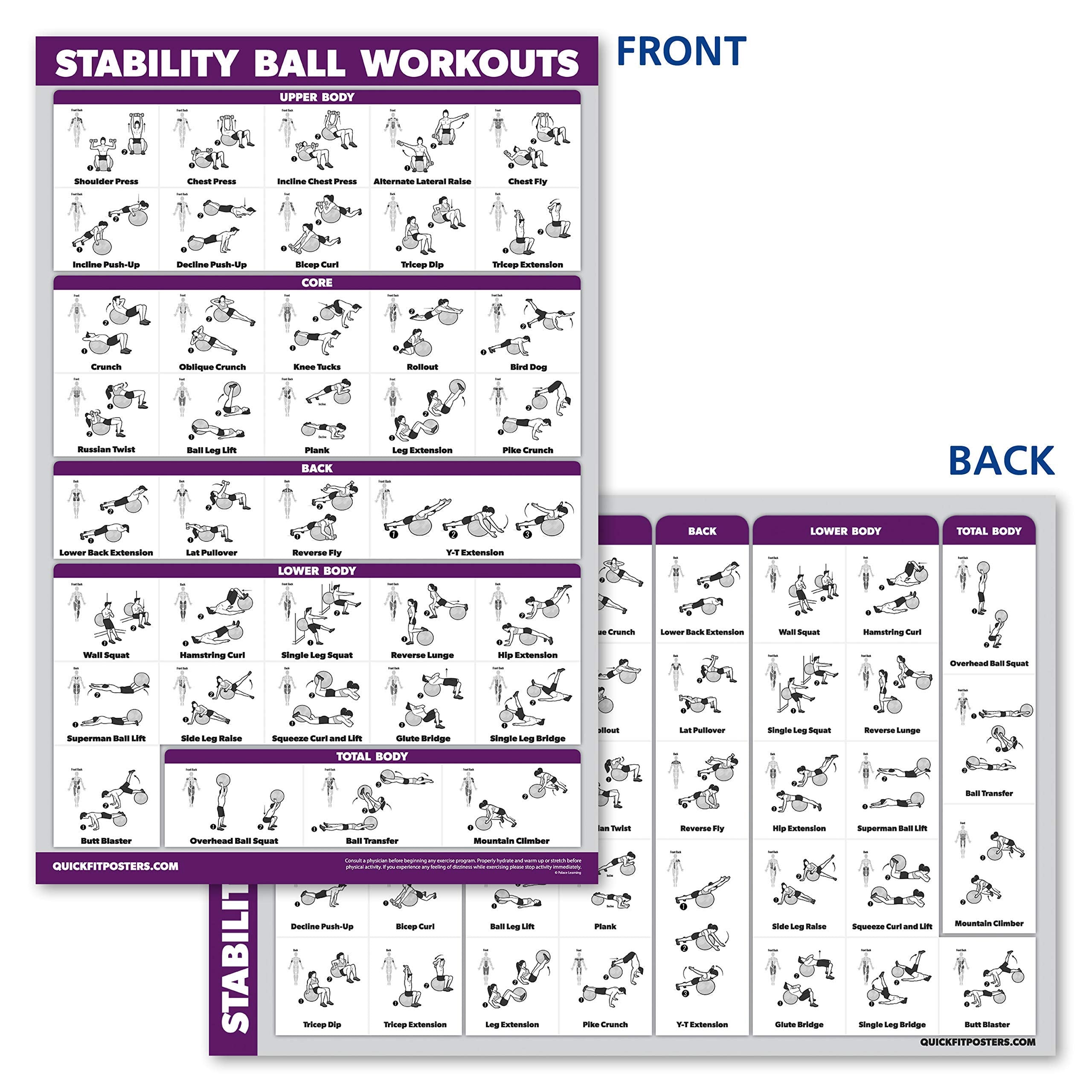 Palace Learning posters mounted on a gym wall to enhance a training space