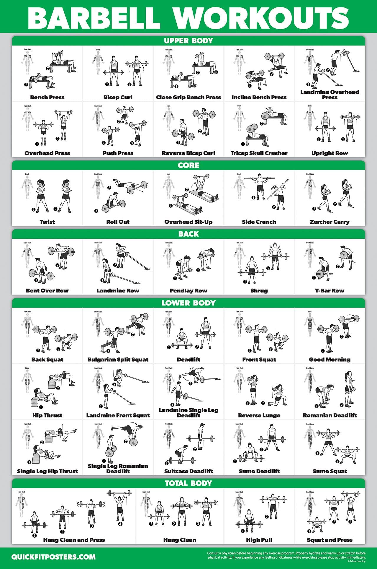 Palace Learning muscular system poster detail showing labeled anatomy for teaching benefit