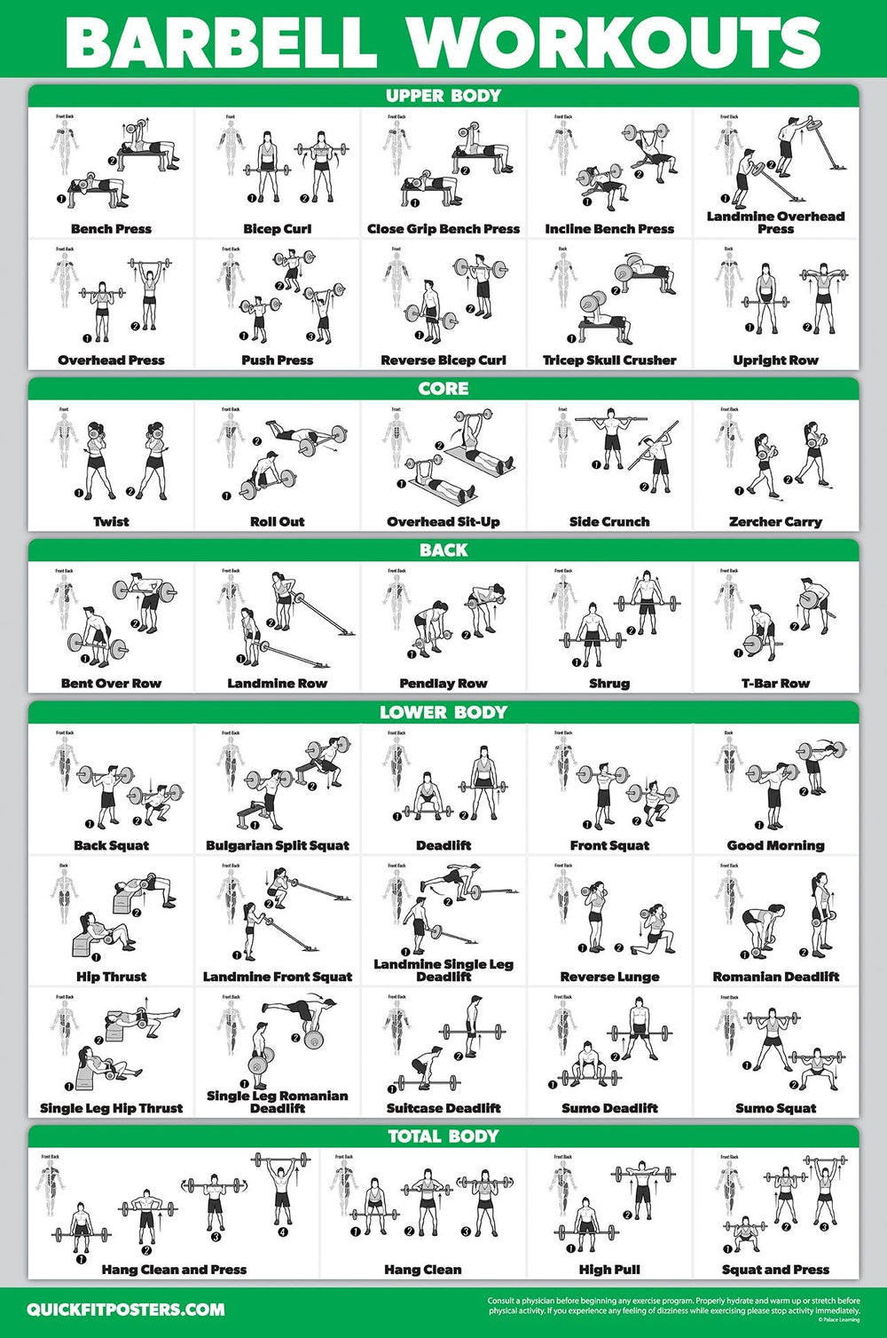 Palace Learning muscular system poster detail showing labeled anatomy for teaching benefit