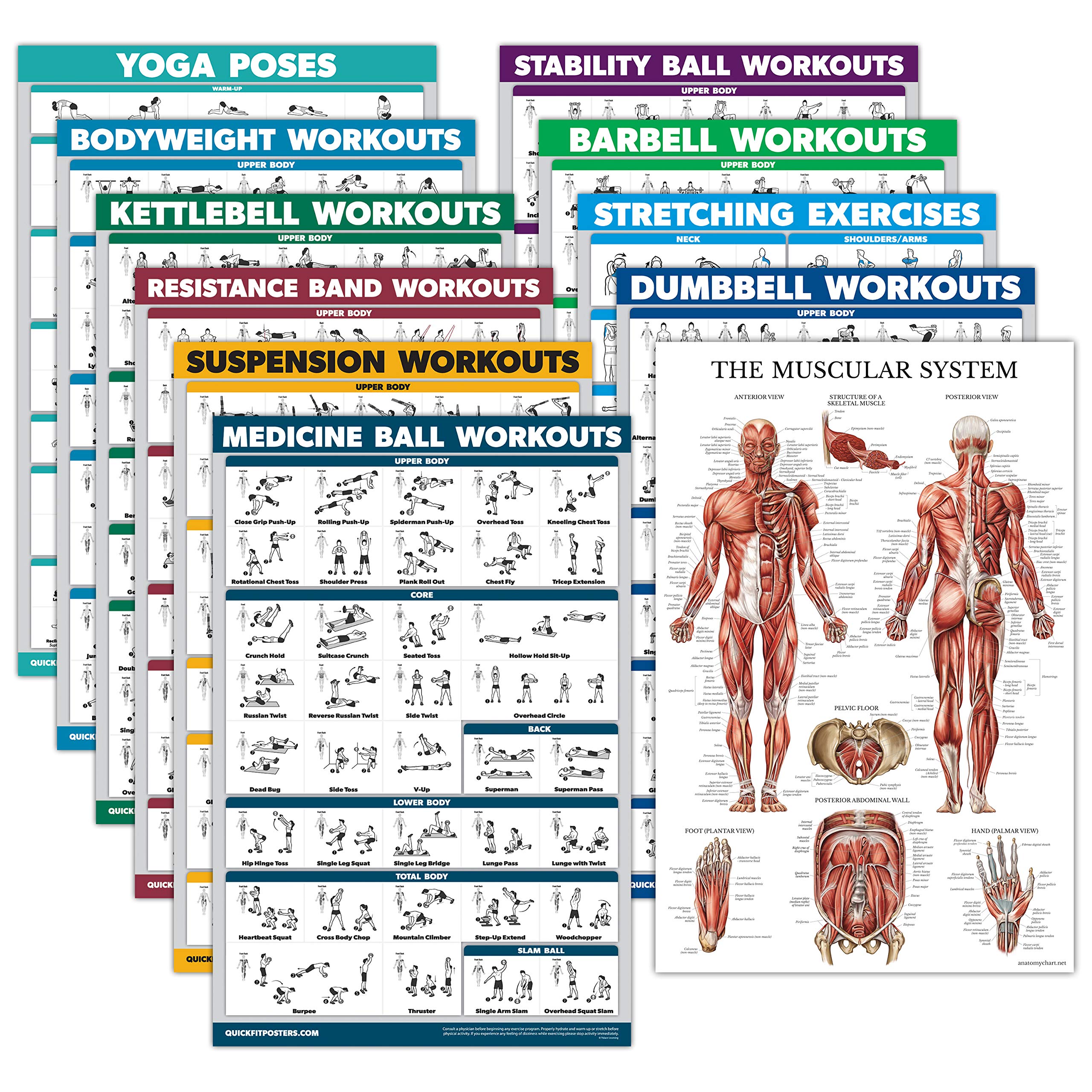 Palace Learning front view of full 11-poster set showing topics and organization benefits