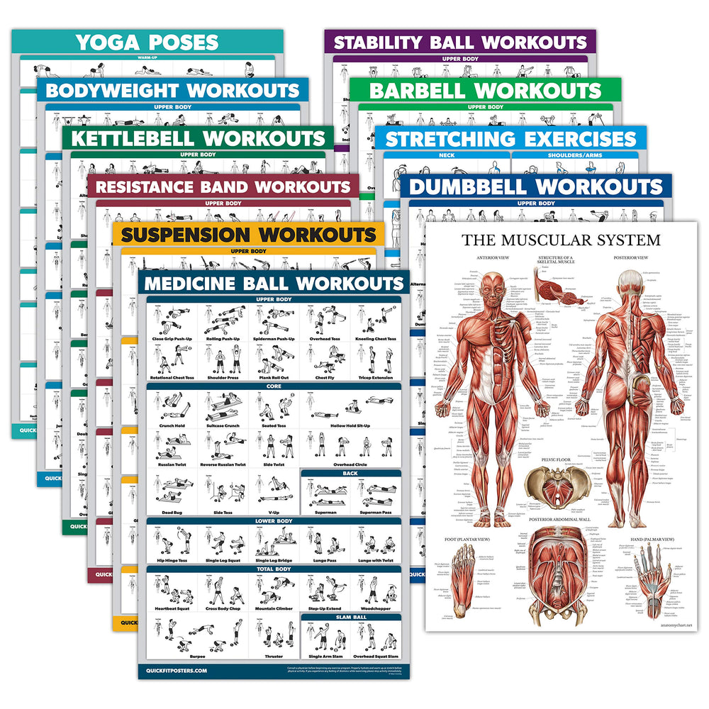 Palace Learning front view of full 11-poster set showing topics and organization benefits