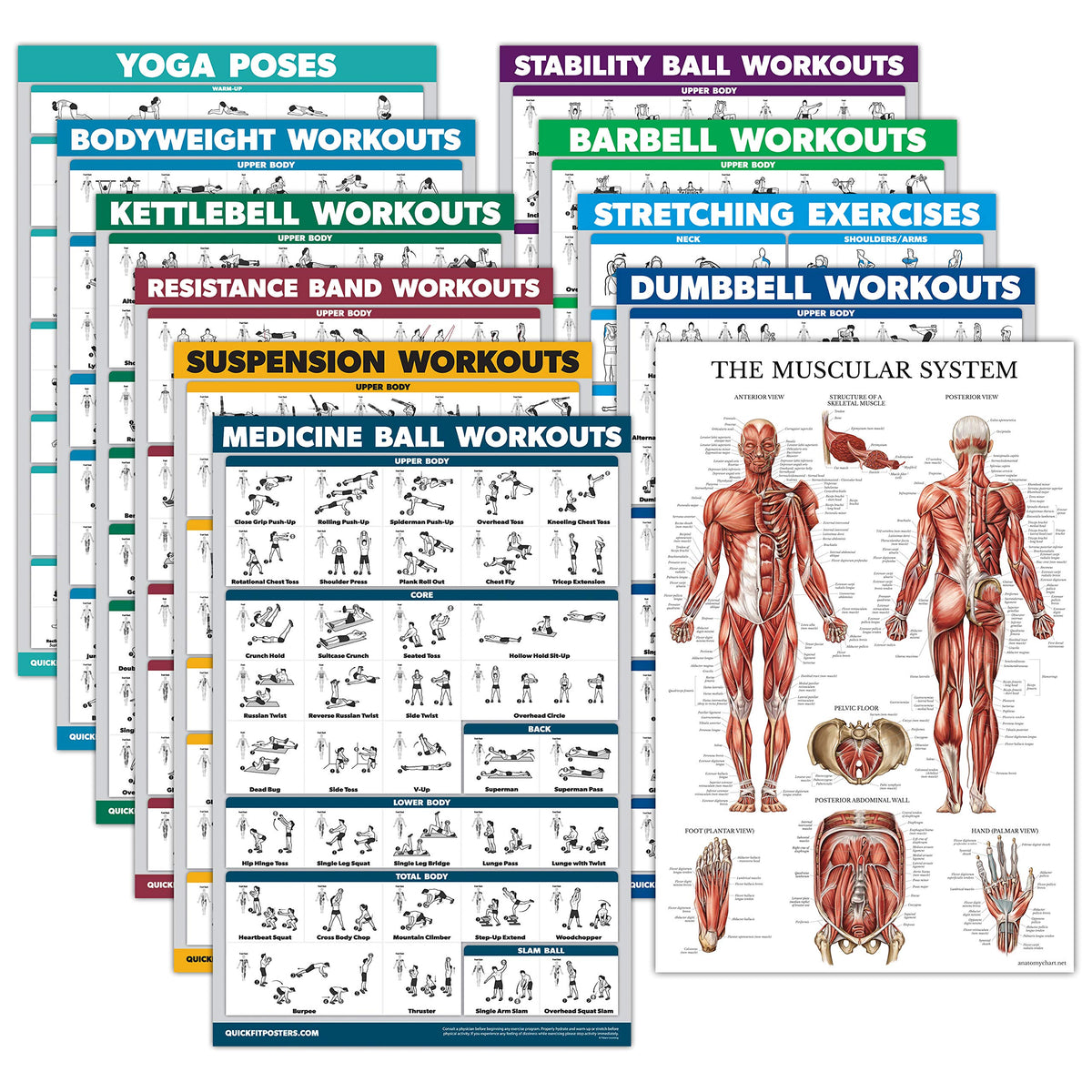 Palace Learning front view of full 11-poster set showing topics and organization benefits