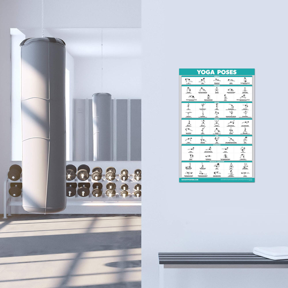 Palace Learning poster beside ruler showing 18x24 size for consistent display benefit