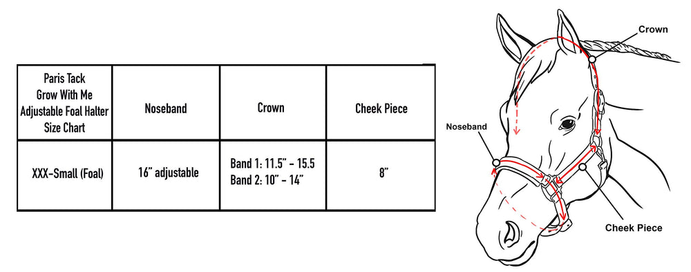 Paris Tack extra crown piece detail showing adjustable sizing benefit